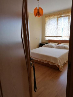 Erdvus 2 kambarių butas